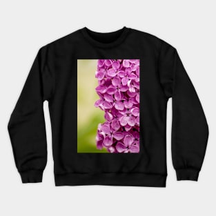 Beautiful Lilac Crewneck Sweatshirt